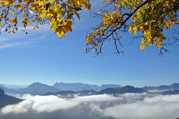 Jochberg (1) - Auf dem Weg zur Jochberg-Alm bei Unterwössen