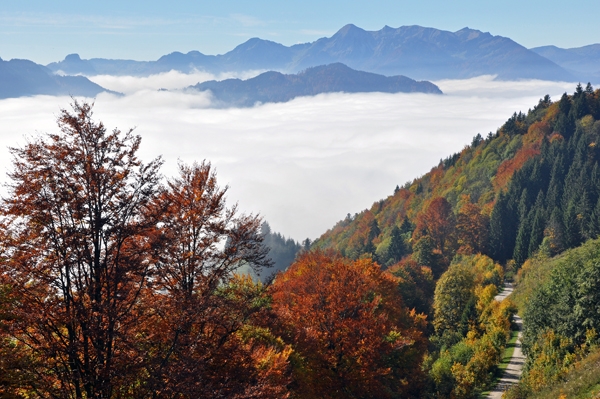 Jochberg (2) - Auf dem Weg zur Jochberg-Alm bei Unterwössen