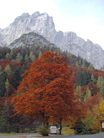 Wilder Kaiser (2) - Auf dem Weg zum Stripsen Joch