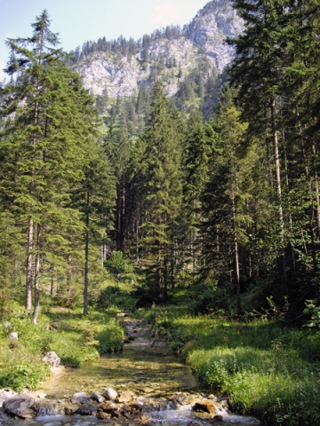 Wilder Kaiser (4) - Auf dem Weg zum Stripsen Joch