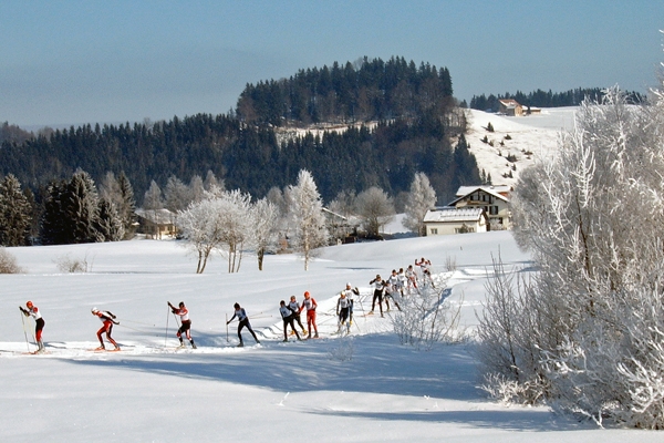 Cross-country skiing Schwedentritt - Langlauf (Skating-Stil) auf der Loipe Schwedentritt, Einsiedeln, Schweiz - Author: Markus Bernet - Lizenz: CC-BY-SA-2.5