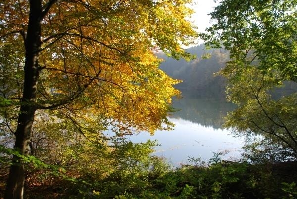 Wössner See (2) - Rund um den Wössner See (Bild 2)