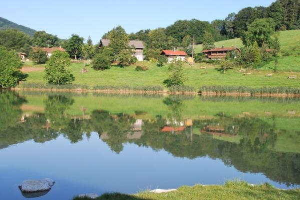Wössner See (3) - Rund um den Wössner See (Bild 3)