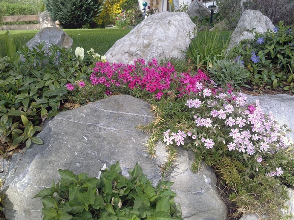 Blumenpracht (1) - Blumenpracht vor dem Gästehaus Pöppl